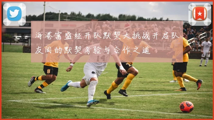 海港富盛经开队默契大挑战开启队友间的默契考验与合作之道