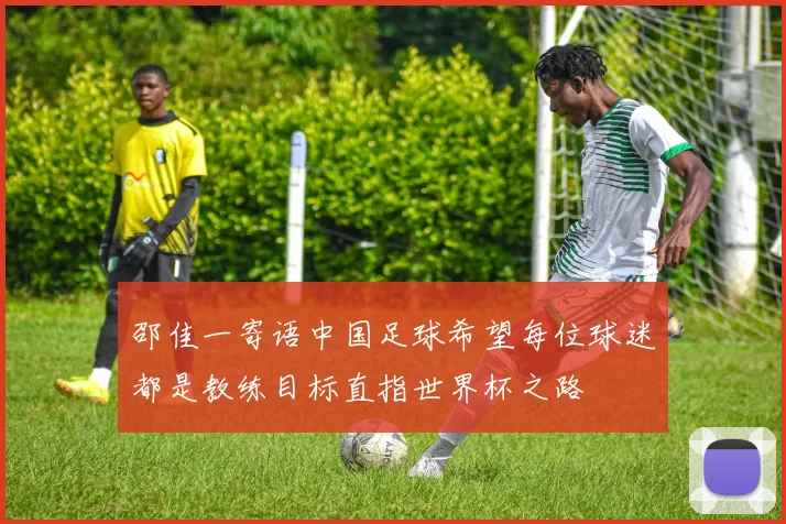 邵佳一寄语中国足球希望每位球迷都是教练目标直指世界杯之路